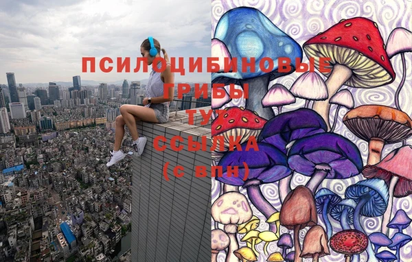 МДПВ Абдулино